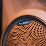 10 Things You Need To Know About The GWM Ora 07 Performance