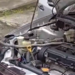King Cobra dalam Enjin Kereta: Tindakan Pantas Jabatan Bomba dan Penyelamat